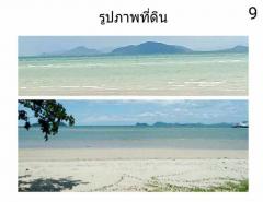 ขายที่ดินเปล่า ติดท่าเรือเร็วลมพระยา เนื้อที่ 97.5 ไร่ (ที่ดินแปลงสวยเนินเขา)  ตำบลหาดทราย อำเภอเมืองชุมพร จังหวัดชุมพร-202407011608511719824931851.jpg