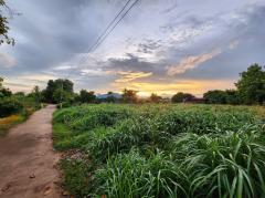 ขายที่ดินเปล่าซ.ป่าเลี่ยม​ อ.เมืองพิจิตร​ จ.พิจิตร​ เข้า​-ออก​ ได้หลายทาง​ ถมแล้วเหมาะสร้างบ้าน-202407052306241720195584395.jpg