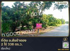 ที่ดิน อ.สันป่าตอง 2 ไร่ 338 ตร.ว. เชียงใหม่