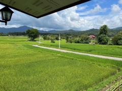 ขายบ้านพร้อมที่ดิน ธรรมชาติ 360 องศา บรรยากาศดี วิวภูเขา โซนสี  ชมพู อำเภอปัว จังหวัดน่าน (เจ้าของขายเอง)-202407081427591720423679681.jpg