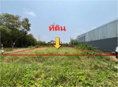 ขาย ที่ดิน 100 ตรว พุทธมณฑล สาย 3 แยก22 เข้าซอย 250ม เหมาะ บ้าน โกดัง-202407110021261720632086715.jpg