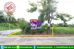 ขายที่ดิน 51 ตร.ว. ถ.บรมราชชนนี สามพราน นครชัยศรี นครปฐม ใกล้ พิพิธภัณฑ์หุ่นขี้ผึ้งไทย ใกล้ เซ็นทรัล ศาลายา ม.มหิดล พุทธมณฑลสาย 5 เพชรเกษม