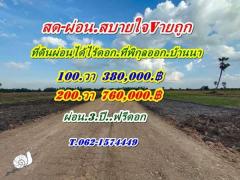 ที่ดินผ่อนได้ ไร้ดอก ที่พิกุลออกบ้านนา นครนายก สดผ่อนได้ ขายถูก! T.062-1574449-202407122110201720793420899.jpg