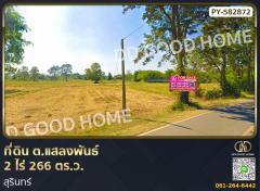 ที่ดิน ต.แสลงพันธ์ 2 ไร่ 266 ตร.ว. สุรินทร์