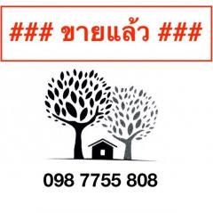 ขาย 2 ล้าน ที่ดินพร้อมสิ่งปลูกสร้าง ถนนโรจนะ  วังน้อย  อยุธยา  098 7755 808