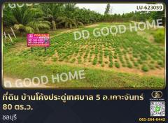 ที่ดิน บ้านโค้งประดู่เทศบาล 5 อ.เกาะจันทร์ 80 ตร.ว. ชลบุรี 