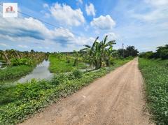 ขาย ที่ดิน ร่องสวน ราคาถูก-ใกล้ราคาประเมิณ ปทุมธานี อ.หนองเสือ ติดสระบุรี 44 ไร่-202407221820551721647255281.jpg