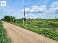 ขาย ที่ดิน ร่องสวน ราคาถูก-ใกล้ราคาประเมิณ ปทุมธานี อ.หนองเสือ ติดสระบุรี 44 ไร่-202407221820561721647256059.jpg