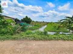 ขาย ที่ดิน ร่องสวน ราคาถูก-ใกล้ราคาประเมิณ ปทุมธานี อ.หนองเสือ ติดสระบุรี 44 ไร่-202407221820561721647256838.jpg