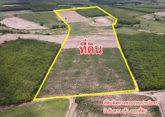 ขายที่ดิน ตำบลตาลเลียน อำเภอกุดจับ จังหวัดอุดรธานี-202407241714091721816049601.jpg