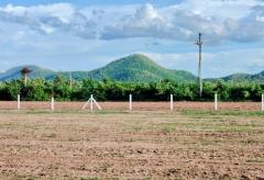 โครงการ : กลอนโดวิว เฟส 3 ที่ดินวิวภูเขาสวยๆใกล้สนามกอล์ฟ ราคาดีผ่อนชำระได้ค่ะ-202407271611441722071504745.jpg