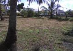 Land for sale at Takuapa Phang Ngaที่ดินใกล้ชายทะเล ต.บางม่วง อ.ตะกั่วป่า จ.พังงา 7-1-83 ไร่ ราคา 24.6ล้าน