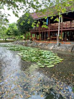 ขายที่ดินพร้อมบ้านเรือนไทยประยุกต์  เนื้อที่รวม 7-3-70 ไร่ ต.หมอนนาง อ.พนัสนิคม จ.ชลบุรี -202408050514101722809650272.jpeg