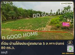 ที่ดิน บ้านโค้งประดู่เทศบาล 5 อ.เกาะจันทร์ 80 ตร.ว. ชลบุรี 