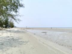 ขายที่ดินทำเลดี ติดทะเล หาดสวย จ. ระยอง-202408061806111722942371513.jpg