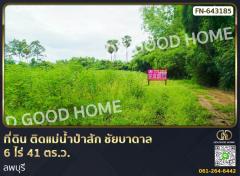 ที่ดิน ติดแม่น้ำป่าสัก ชัยบาดาล 6 ไร่ 41 ตร.ว. ลพบุรี