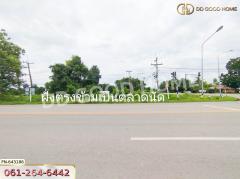 ที่ดิน สี่แยกบัวชุม ชัยบาดาล 361 ตร.ว. ลพบุรี-202408101954391723294479310.jpg