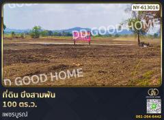 ที่ดิน บึงสามพัน 100 ตร.ว. เพชรบูรณ์