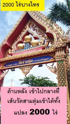 ขายที่นา อยุธยา ใกล้กทม แค่ 1 ชม หรือ 70 กิโลเมตร ไม่แพงทำเลดี 在Na Muang Thai出售 所有中国商人和投资者。首都曼谷附近有2000莱的大稻田待售 (700 - 800 英亩)，距离70公里，仅需1小时车程。 -202408120915141723428914028.jpg