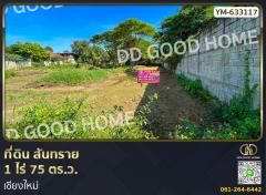 ที่ดิน สันทราย 1 ไร่ 75 ตร.ว. เชียงใหม่