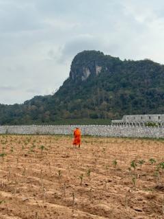 ที่ดินสวยจัด เขาชีจรรย์ เนื้อที่ 20 ไร่ เหมาะทำหมู่บ้านจัดสรร บ้านพัก รีสอร์ท แหล่งท่องเที่ยว ใกล้แหล่งท่องเที่ยว Landmark ระดับ 6 ดาว-202408140844401723599880320.jpg