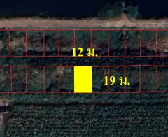 ขายที่ดินเปล่า 50 ตรว. คลอง 12 อ.หนองเสือ จ.ปทุมธานี -202408151333581723703638319.jpg