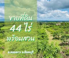 ขายที่ดินพร้อมสวนติดเชิงเขา ราคาถูก  ทำเลทอง อำเภอสอยดาว จังหวัดจันทบุรี (เจ้าของขายเอง)