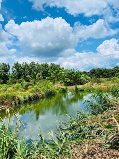 ขายที่ดินพร้อมสวนติดเชิงเขา ราคาถูก  ทำเลทอง อำเภอสอยดาว จังหวัดจันทบุรี (เจ้าของขายเอง)-202408191558441724057924996.jpg