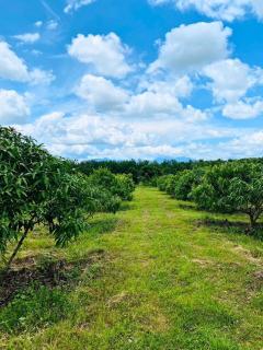 ขายที่ดินพร้อมสวนติดเชิงเขา ราคาถูก  ทำเลทอง อำเภอสอยดาว จังหวัดจันทบุรี (เจ้าของขายเอง)-202408191558451724057925716.jpg