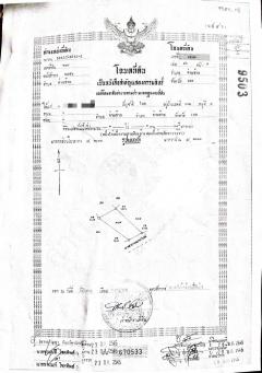 ขายที่ดินมีต้นสัก อายุ 18 ปี กว่า 260 ต้น-202408221523111724314991887.jpg