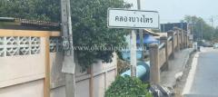 บ้านพร้อมที่ดิน ต.บางแม่นาง อ.บางใหญ่ จ.นนทบุรี-202408281038481724816328470.jpg