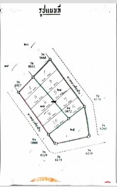#ขายที่ดินภูเรือ #ราคาถูก #วิวสวย แปลงละ 590,000บาท #ผ่อนได้ -202408301143451724993025781.jpg
