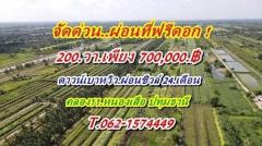 จัดด่วนผ่อนที่ฟรีดอกที่ดินคลอง11หนองเสือราคาเบาผ่อนสบาย. T.062-1574449-202408311341431725086503054.jpg