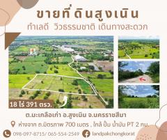 ขายที่ดินโคราช เดินทางสะดวก ใกล้ถนนมิตรภาพเพียง 700 เมตร