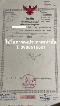 ขายที่ดินราคาถูก โฉนดครุฑแดงพร้อมโอน ตำบลพังขว้าง อำเภอเมืองสกลนคร-202409032123111725373391077.jpg