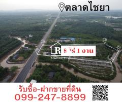 R043-005ขายที่ดินหน้าติดถนนหมายเลข 4011 ไชยา-พุมเรียง อ.ไชยา จ.สุราษฎร์ธานี ด้านหลังติดคลอง-202409061546591725612419028.jpg