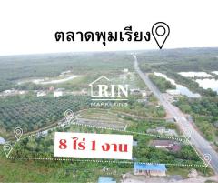 R043-005ขายที่ดินหน้าติดถนนหมายเลข 4011 ไชยา-พุมเรียง อ.ไชยา จ.สุราษฎร์ธานี ด้านหลังติดคลอง-202409061547001725612420214.jpg