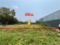 ขาย ที่ดิน 100 ตรว พุทธมณฑล สาย 3 แยก22 เข้าซอย 250ม เหมาะ บ้าน โกดัง-202409091455531725868553081.jpg