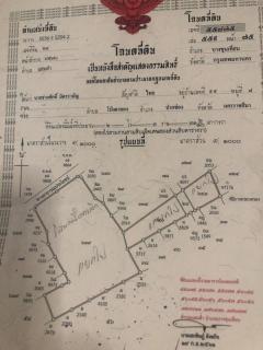 ขายที่ดิน 4 ไร่ (แบ่งขาย 2 ไร่ได้) ซอยบางกระดี่ 25 ตรงข้ามตลาดนัดเฮียชุ้น ถนนคอนกรีต น้ำไม่ท่วม โทร 096-245-9629-202409120004561726074296010.jpg