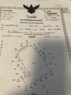 ขายที่ดิน 4 ไร่ (แบ่งขาย 2 ไร่ได้) ซอยบางกระดี่ 25 ตรงข้ามตลาดนัดเฮียชุ้น ถนนคอนกรีต น้ำไม่ท่วม โทร 096-245-9629-202409120004561726074296671.jpg