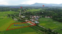 Land for sale Chaiyaphum ขายที่ดินชัยภูมิ มี 2 แปลง สามารถถมดิน ทำบ้าน ทำธุรกิจค้าขายได้ โทร 061-1195112-202409131415391726211739709.jpg