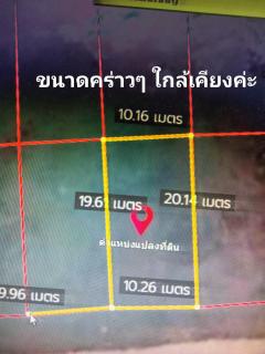 ขายที่ดินในซอยทะลุปณ.พะวงทางเข้าเมืองสงขลา-202409161835531726486553496.jpg