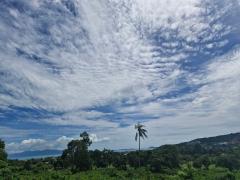 ขายที่ดิน วิวทะเล บ่อผุด เกาะสมุย / Sea view land koh samui