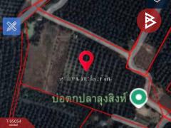 ขายที่ดินพร้อมสิ่งปลูกสร้าง เนื้อที่ 14 ไร่ 20 ตร.วา ดำเนินสะดวก ราชบุรี-202409221118411726978721349.jpg