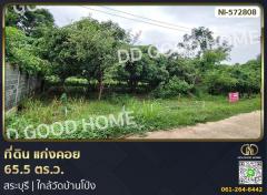 ที่ดิน แก่งคอย 65.5 ตร.ว. สระบุรี ใกล้วัดบ้านโป่ง