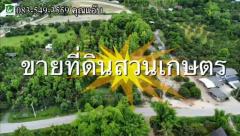 ขายที่ดินสวนเกษตร เนื้อที่ 4-0-24.3 ไร่ ต.ดอนเปา อ.แม่วาง จ.เชียงใหม่