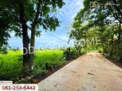 ที่ดินกบินทร์บุรี 25 ไร่ 212 ตร.ว. ปราจีนบุรี ใกล้วัดกลางเมืองเก่า-202410051728371728124117868.jpg