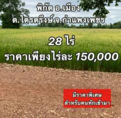 ขายที่ดินสวยราคาถูก ติดทางสาธารณะ ตำบลไตรตรึงษ์ อำเภอเมืองกำแพงเพขร-202410051943381728132218557.jpg