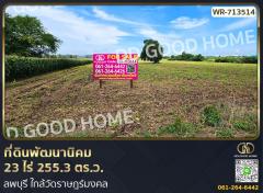 ที่ดินพัฒนานิคม 23 ไร่ 255.3 ตร.ว. ลพบุรี ใกล้วัดราษฎร์มงคล