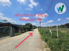 ขายที่ดินเปล่า สามชุก สุพรรณบุรี ทำเลดี-202410101109111728533351545.jpg